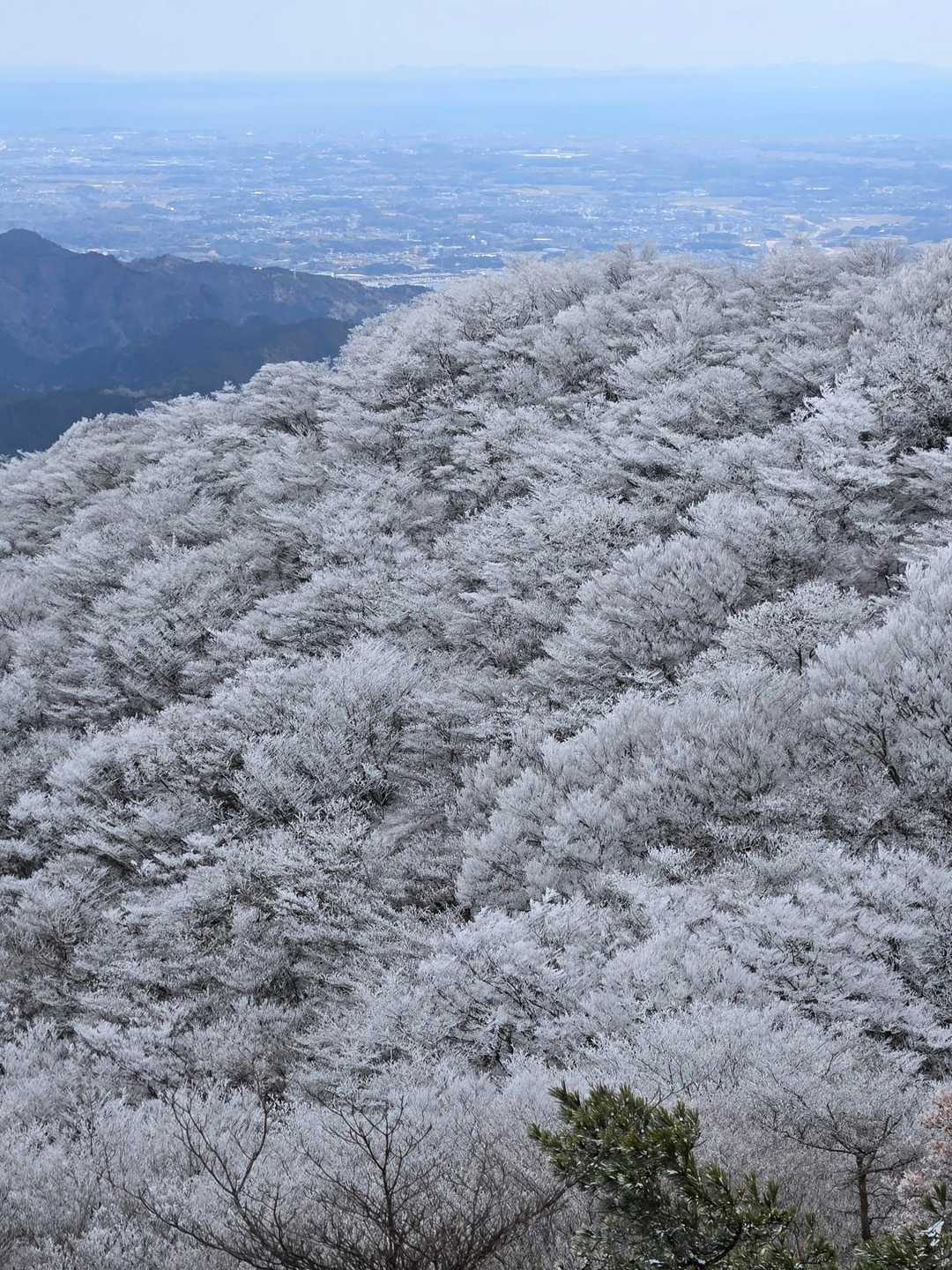 こんな綺麗な景色が見れるとは