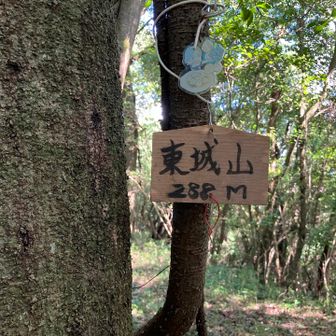 あまり登ってる人少なそうです。
蜘蛛の巣🕸️だらけ
最初の登り口で迷いました、
道がはっきりしてないし片手にスマホ、空いている手は滑るので気につかみピンテを探す余裕なし大変でした。
下はピンテを見なが無事下山