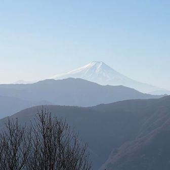 日向沢ノ峰から富士山