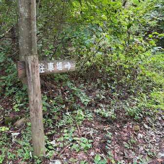 駐車場へ抜け道