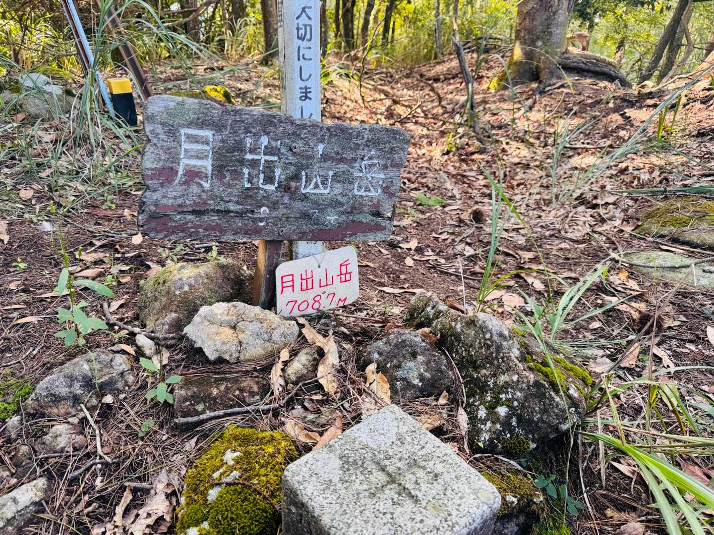 そして、最後は背丈の藪漕〜藪漕ぎ
3番坊主👩‍🦲👩‍🦲🧑‍🦲無事登頂

ふっーー💦
旦那は、半ズボン……なので、

山頂手前の所で、、断念😓
手で""行ってこい""の
ジェスチャー…
😂😂

1人で行って来る事に、展望はない
写真だけ〜