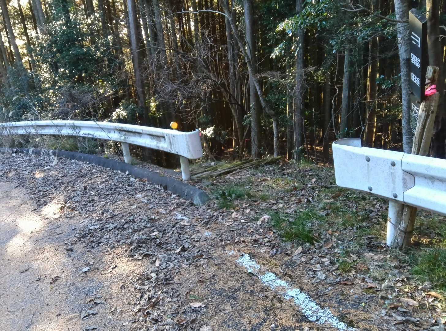 
最後の登山道入口。林道の右側のガードレールの切れ目を降りて行きます。この入り口を見落として林道をさらに下って行ってしまいました。