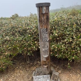 山頂ではない山頂標識。風が強いけど休憩。
