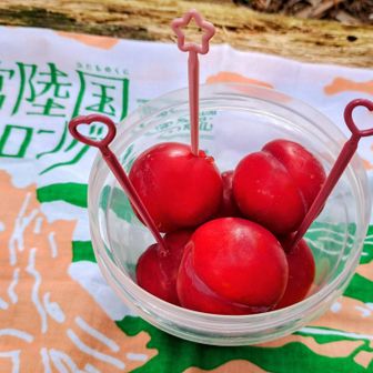 みずみずしい果汁と甘酸っぱい味は季節モン💕
初夏の味プラム🍑は最高に美味しかった😋