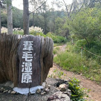 湿原入口、せっかくなんで湿原にも入ってみます