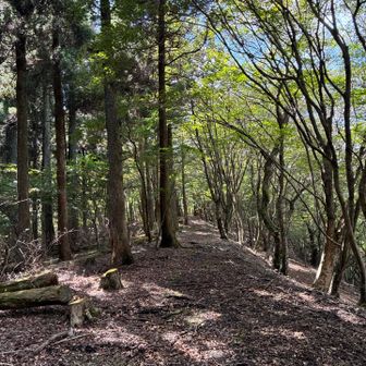 下山じゃー