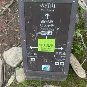 薬飲んで騙し騙し富士見平まで降りてきた