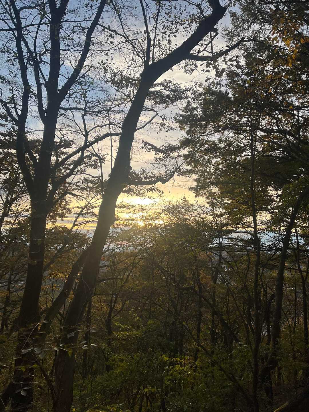 朝日☀️