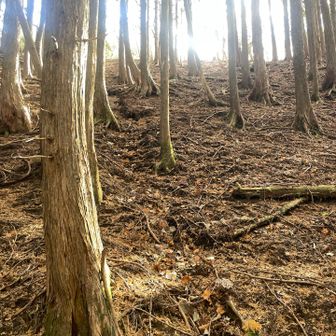 どこでもどうぞ斜面

ルートだけ外さないように確認しながら