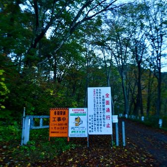 谷巡りの国道299号は11月4日から通行止めとなります
今週末はきっと混む　すごい混む