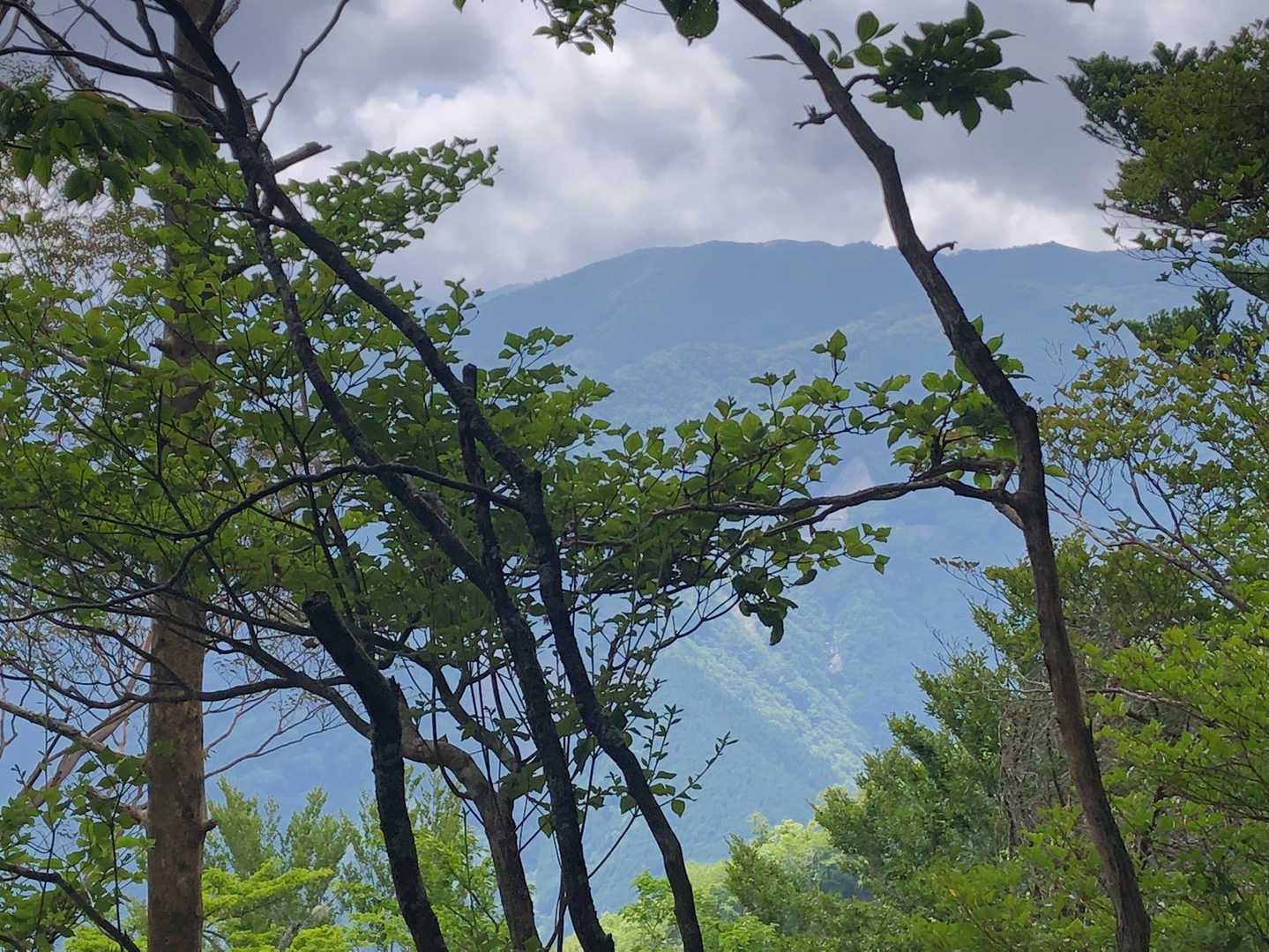 剣山方面もいい天気