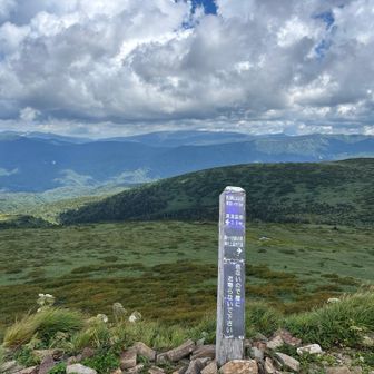 山頂にとうちゃこ