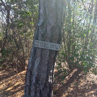 開けた山頂に戻り、昼メシ後、もうひとつねの標識に気づき。