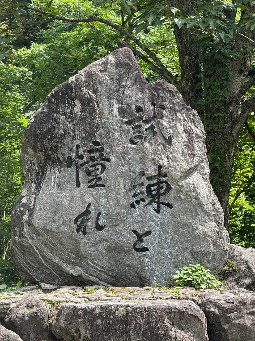 試練と憧れ
