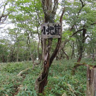 途中で小地蔵に寄り道
初めて登った😁