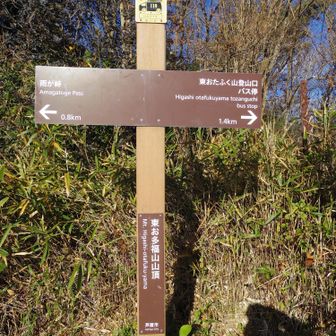 東おたふく山山頂です。