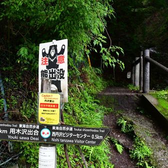 ツツジ新道に向け登山開始。