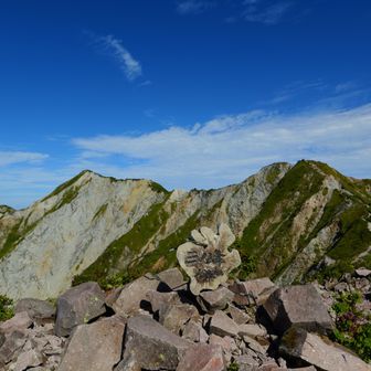 三ノ峰山頂