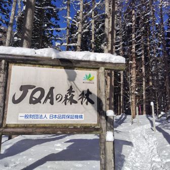 🅿️まで戻りました

今日は装備点検を目的に来ましたが、好天まで待った甲斐がありました✨やはり好きな冬山改めて（スッキやな〜🤣）

手軽に登れるので見逃されそうに思いますが、ここは想像以上にお宝を見つけることが出来たお山でした👍

さて、今日は🍶を飲みながら絶景に酔いしれよっと👍…オイオイ腰は…？我慢してはよ〜治せって…ソレはﾑﾘ🤣