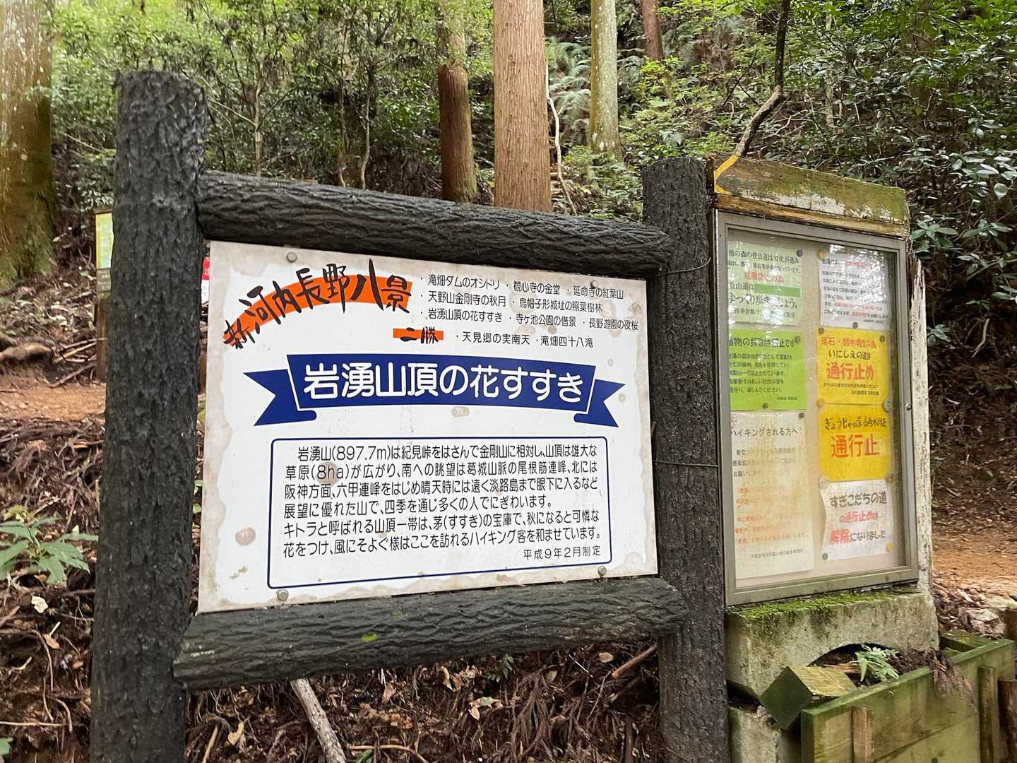ここから分岐