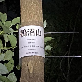 山頂異常なし