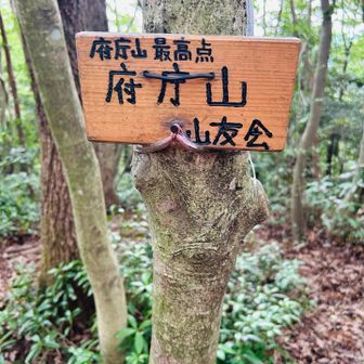 最高点。
