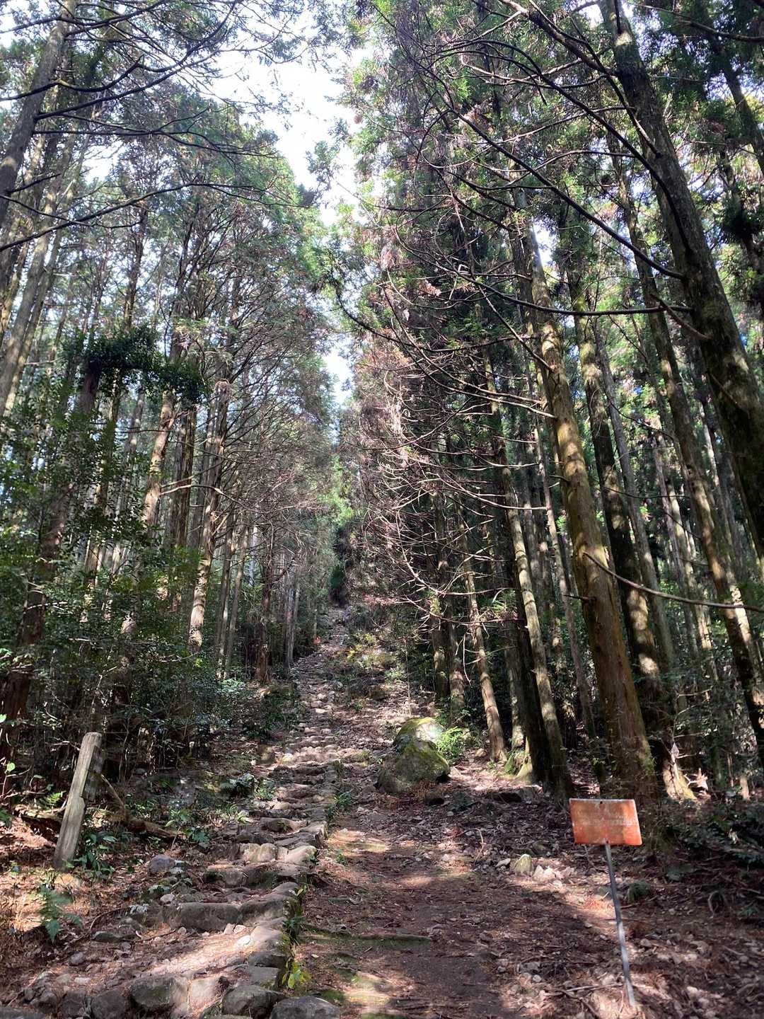 岩屋神社登山口-岩屋山 周回コースの写真