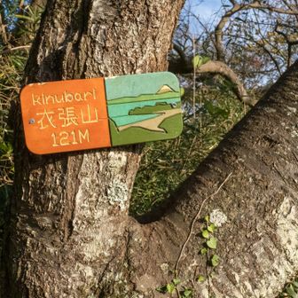 今日いちばんの登りの後の山頂