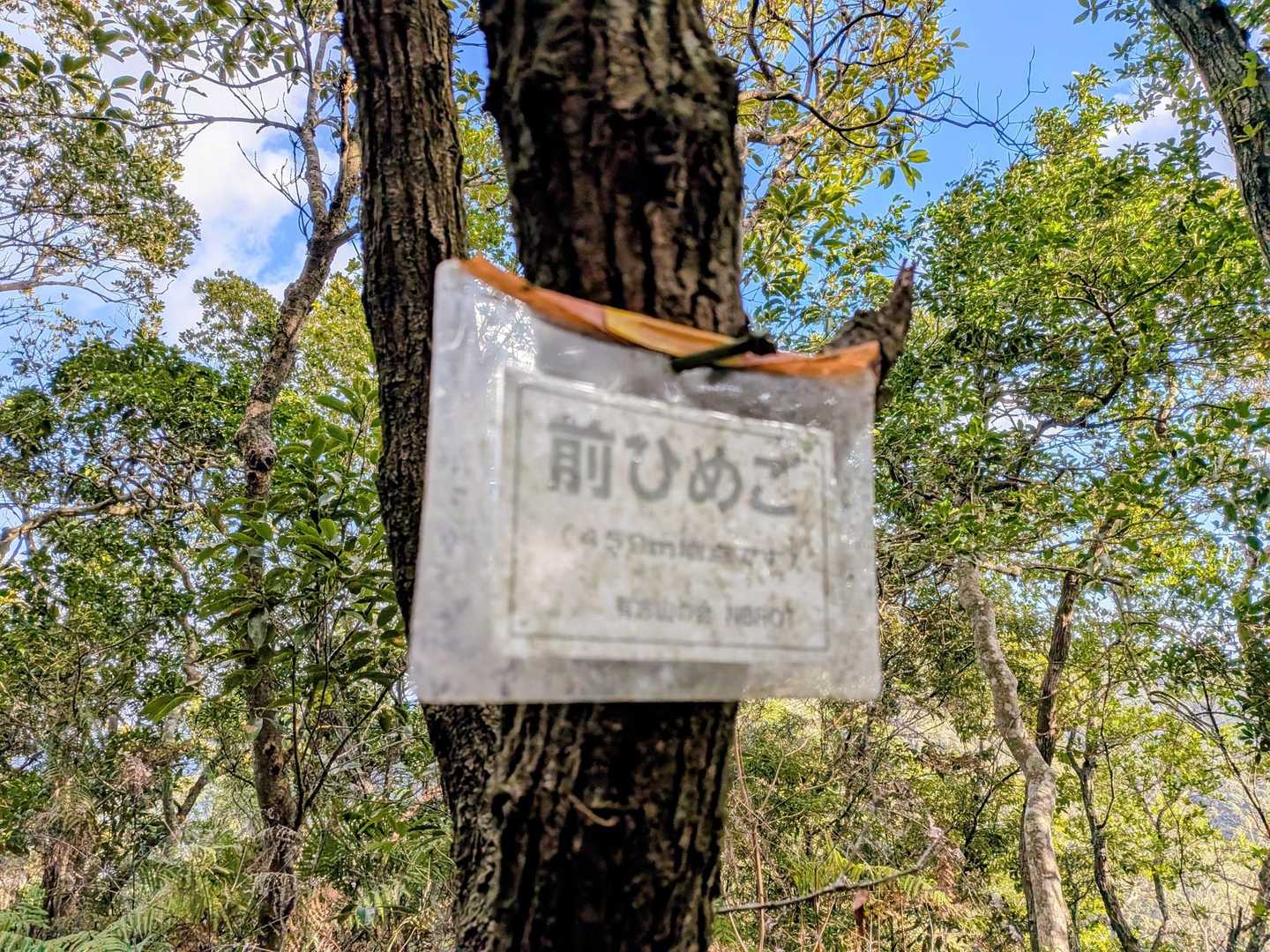 前姫越山⛰️に寄り道👆