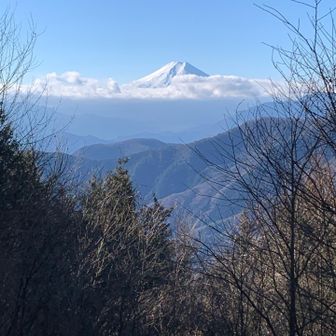 展望台からギリギリ見えた🗻