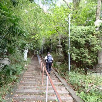 早尾神社の長い石段を上る。