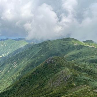 雲が湧いてきました
下山中にポツリポツリと少し降られました