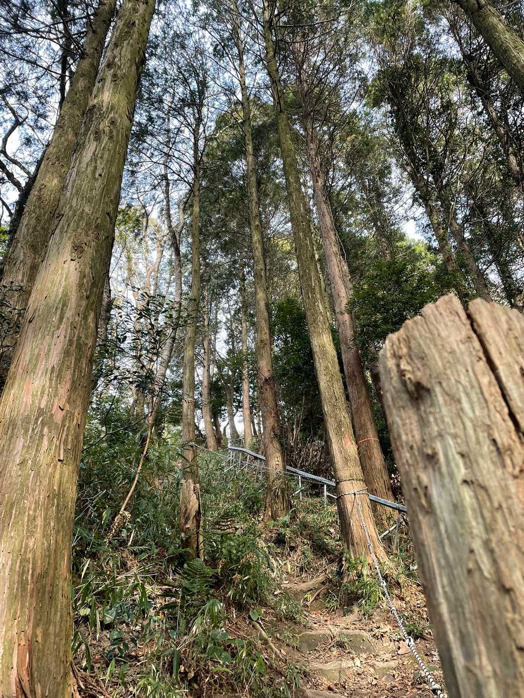 宮田登山口-六ヶ岳 往復コースの写真