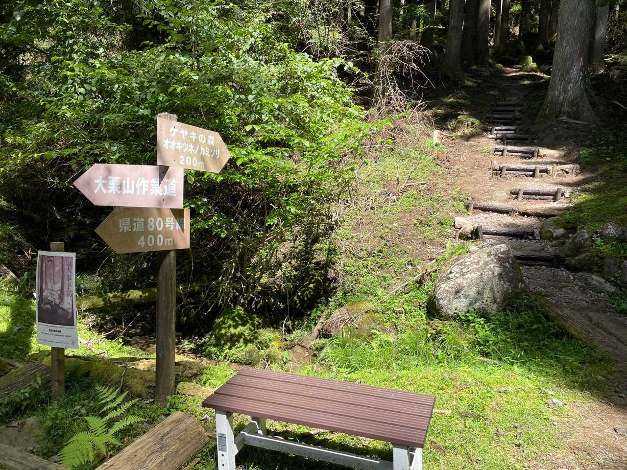 案内板、道しるべ助かります。
