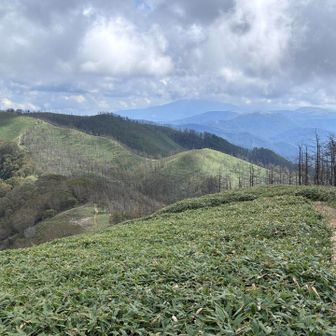 歩いてきた山々の稜線を眺めながら、戻っていく。