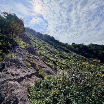 スラブが現れました。
火山だった飯士山らしい岩肌です。