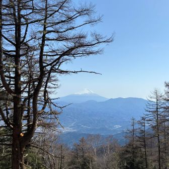 山頂からは富士山