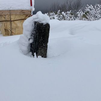 背中はこうです🤫