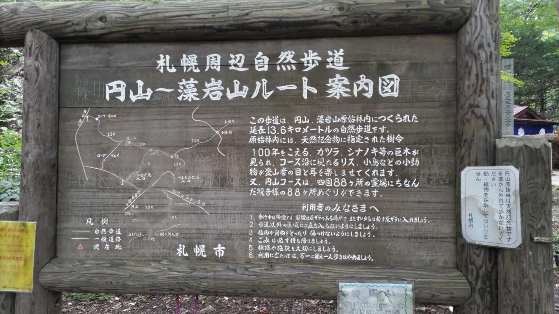 円山 往復コースの写真