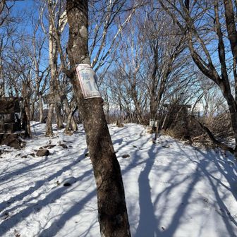 ついたー！荒山頂上です🏔️
珍しくここまで来るのに5人とすれ違いました
普段は人気がないんですけどね