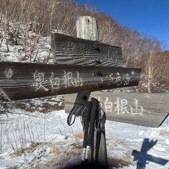 帰りは楽ちんかなー