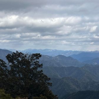 いつの間にか雲がいっぱい☁️