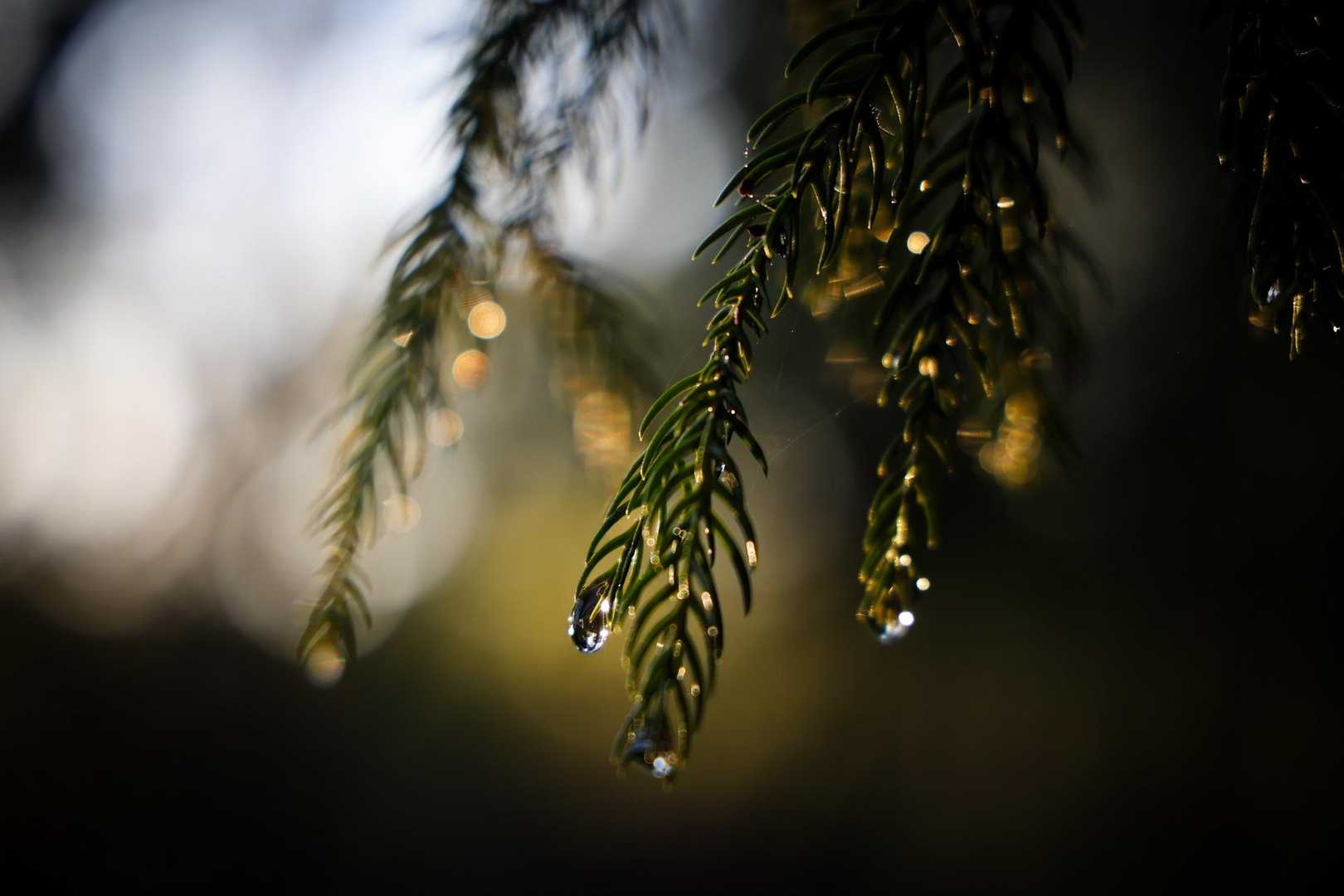 💧