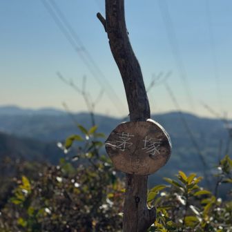 芽塚212m、可愛い😍