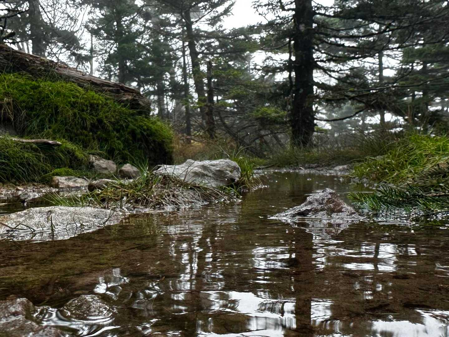 さぁ〜明星ヶ岳⛰️に向かいましょう🥾
山道は昨日の雨の影響で☔ドロドロビシャビシャ💦
リフレクションも今日はどんより〜😅