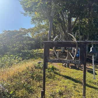 ここまで来たら三角山？とも思いましたが、あかさか山で大満足です😆