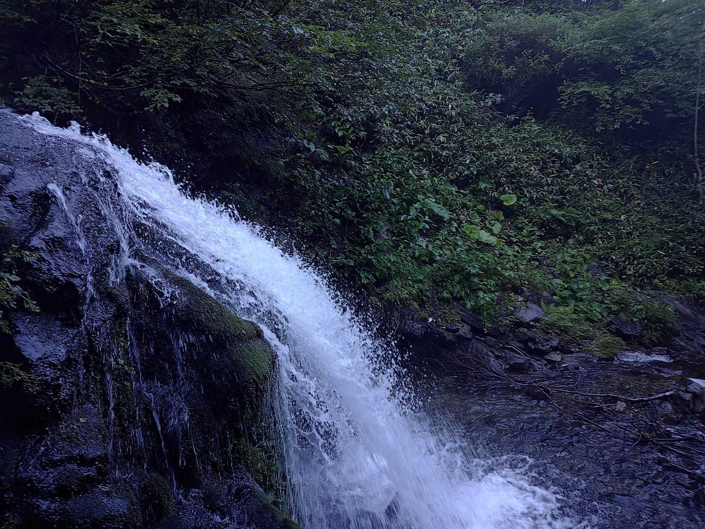 曲り沢登山口-チロロ岳 往復コースの写真