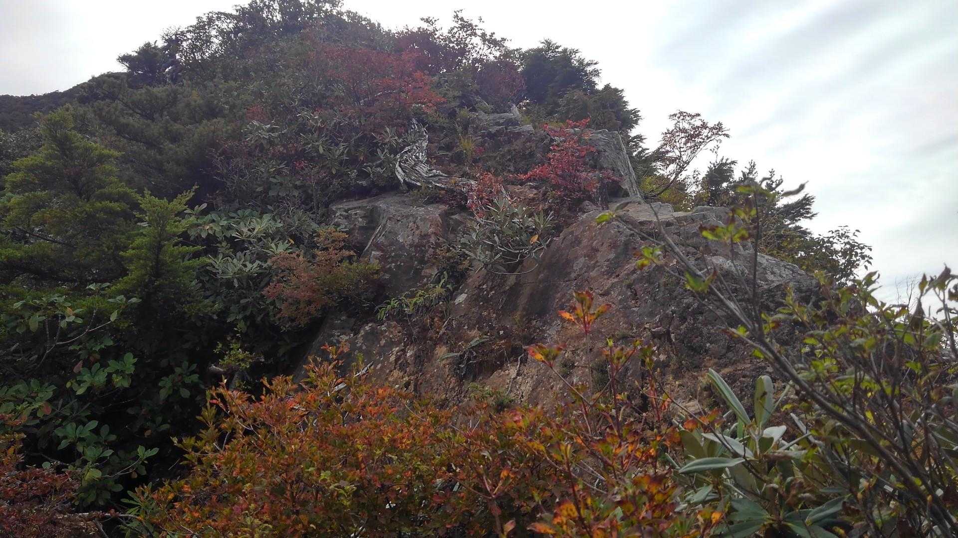 岩岩⛰️