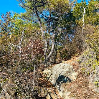 さぁさぁお待たせ🤲
岩岩場が出てきましたよ😎