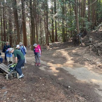 鞍掛峠通過
これより高草山へ